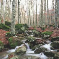 Amiata