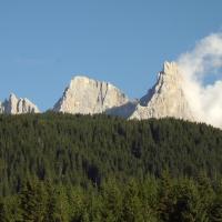 Val di Fiemme (TN) - Archivio PEFC