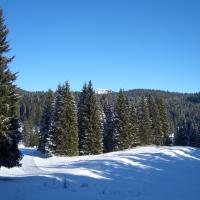 Asiago